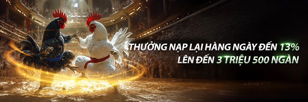 Sân đá gà trực tuyến b66 code sôi động